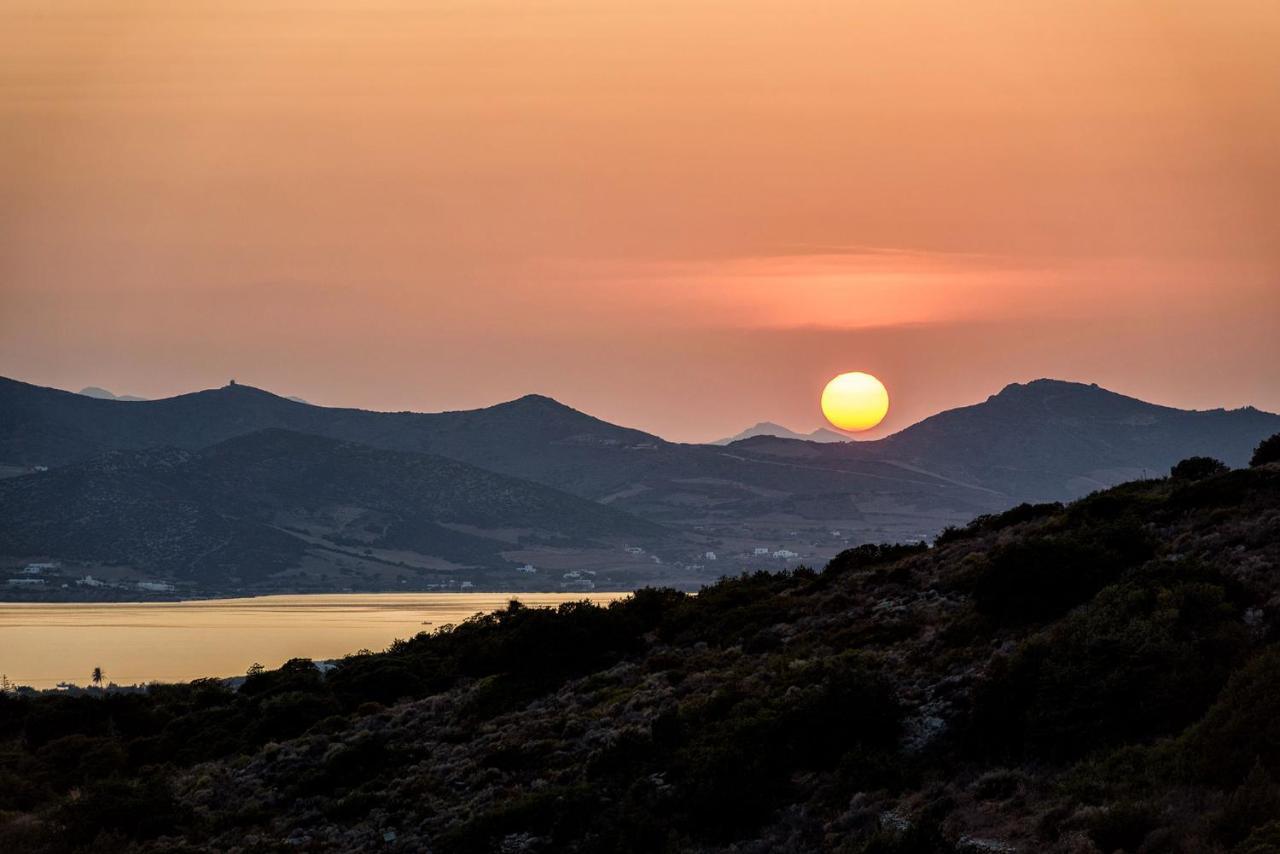 Paros Villa Blue Senses Αλυκή Εξωτερικό φωτογραφία